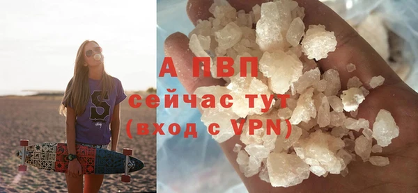 тгк Володарск