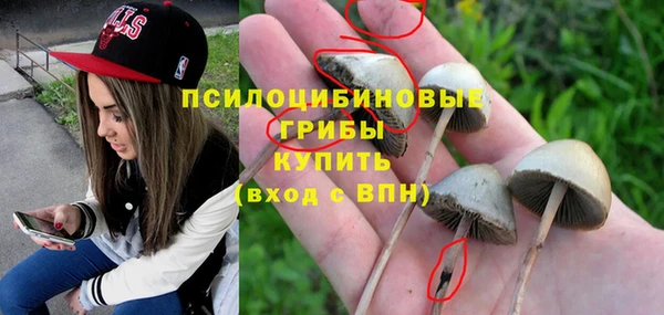 ешки Волоколамск